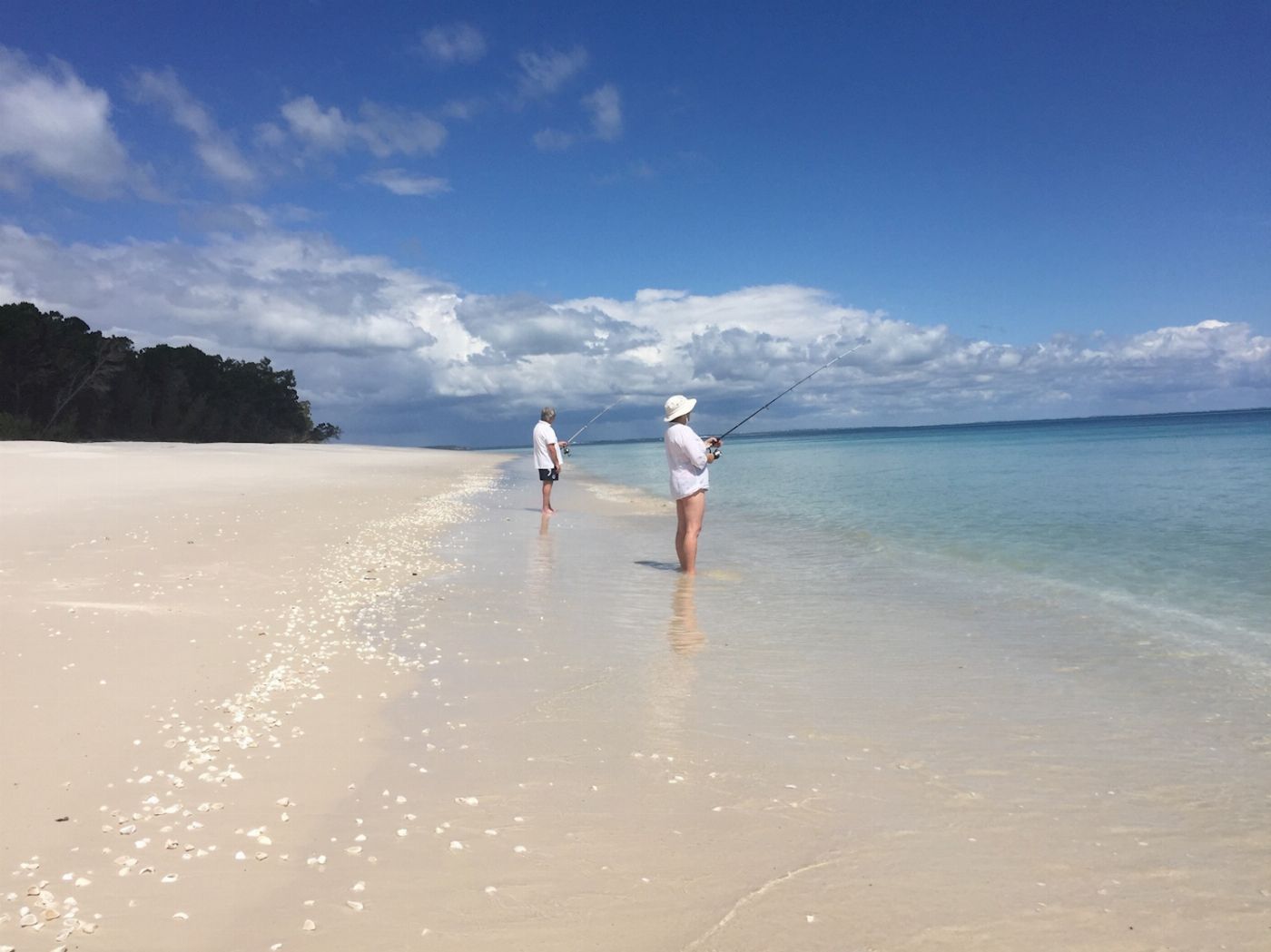 Whalesong Cruises Fraser Island Beach + BBQ Cruise