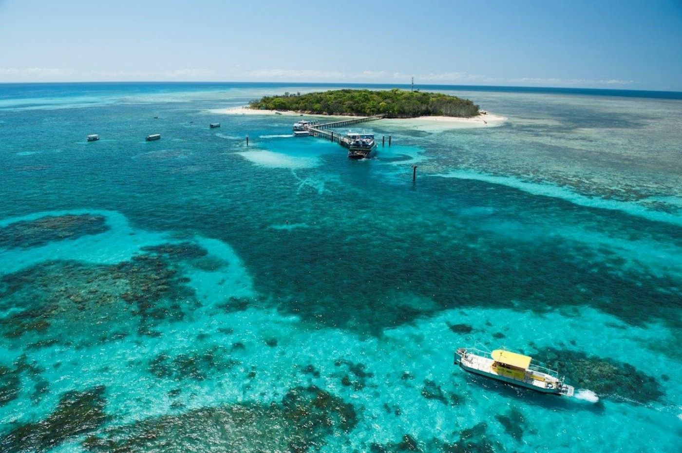 Big Cat Green Island Reef Cruises Green Island Half Day Trip (Afternoon)