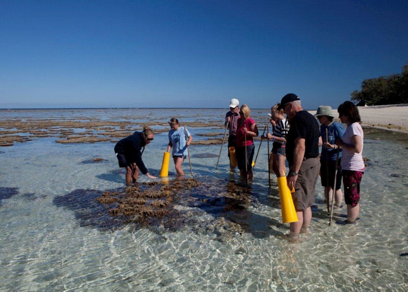 Lady Elliot Island Eco Resort Lady Elliot Day Trip ex Hervey Bay