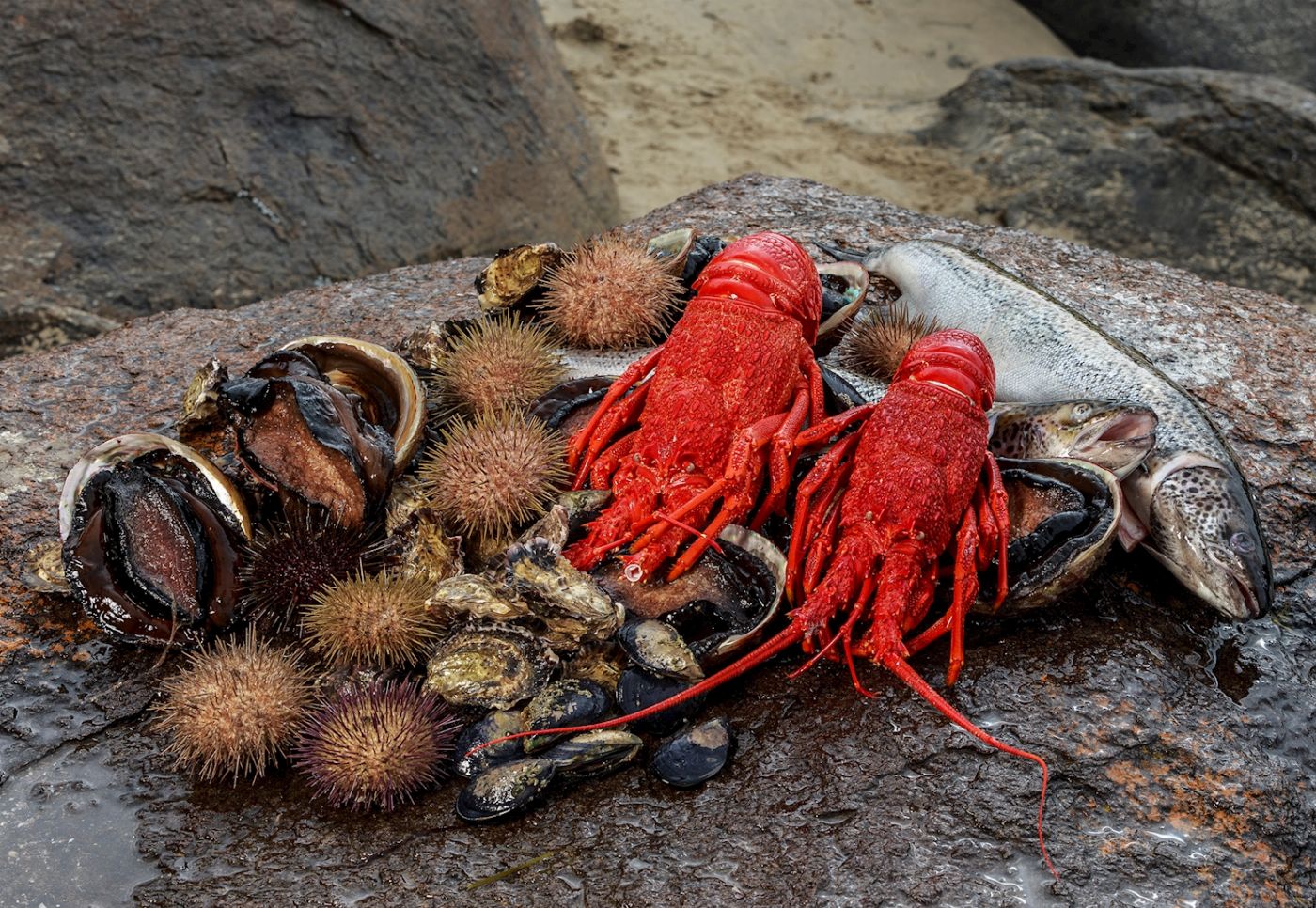 Pennicott Wilderness Journeys Tasmanian Seafood Seduction