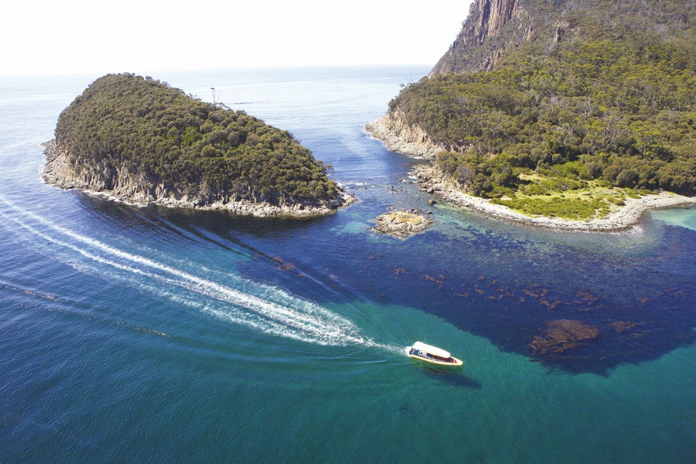 Pennicott Wilderness Journeys Bruny Island Wilderness Cruise