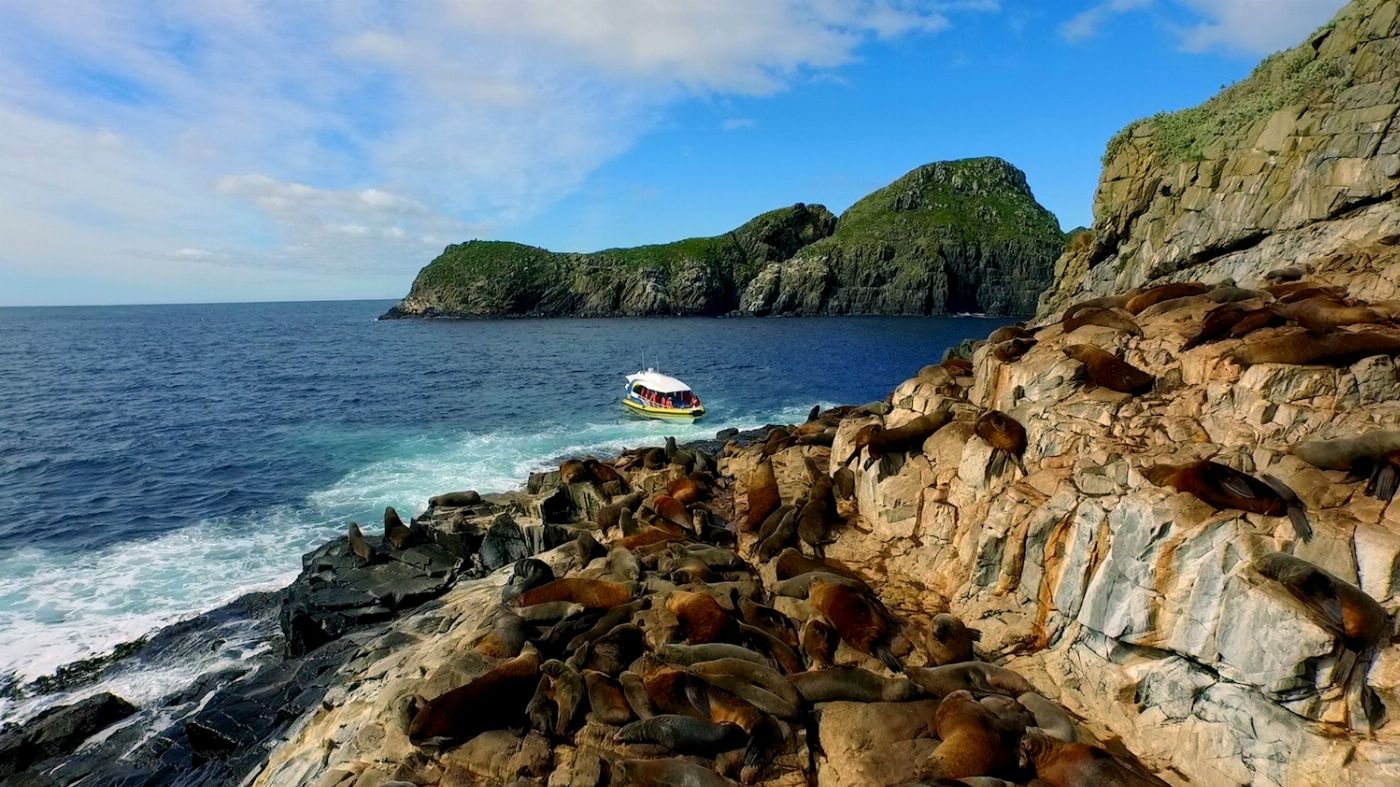 Pennicott Wilderness Journeys Bruny Island Wilderness Cruise