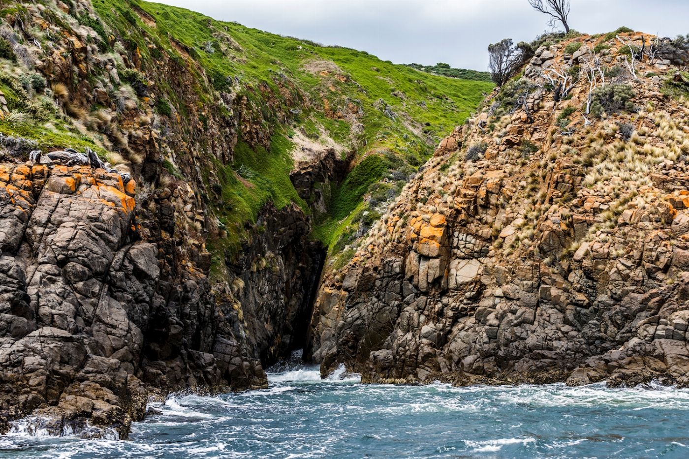 Pennicott Wilderness Journeys Iron Pot Cruise - Morning