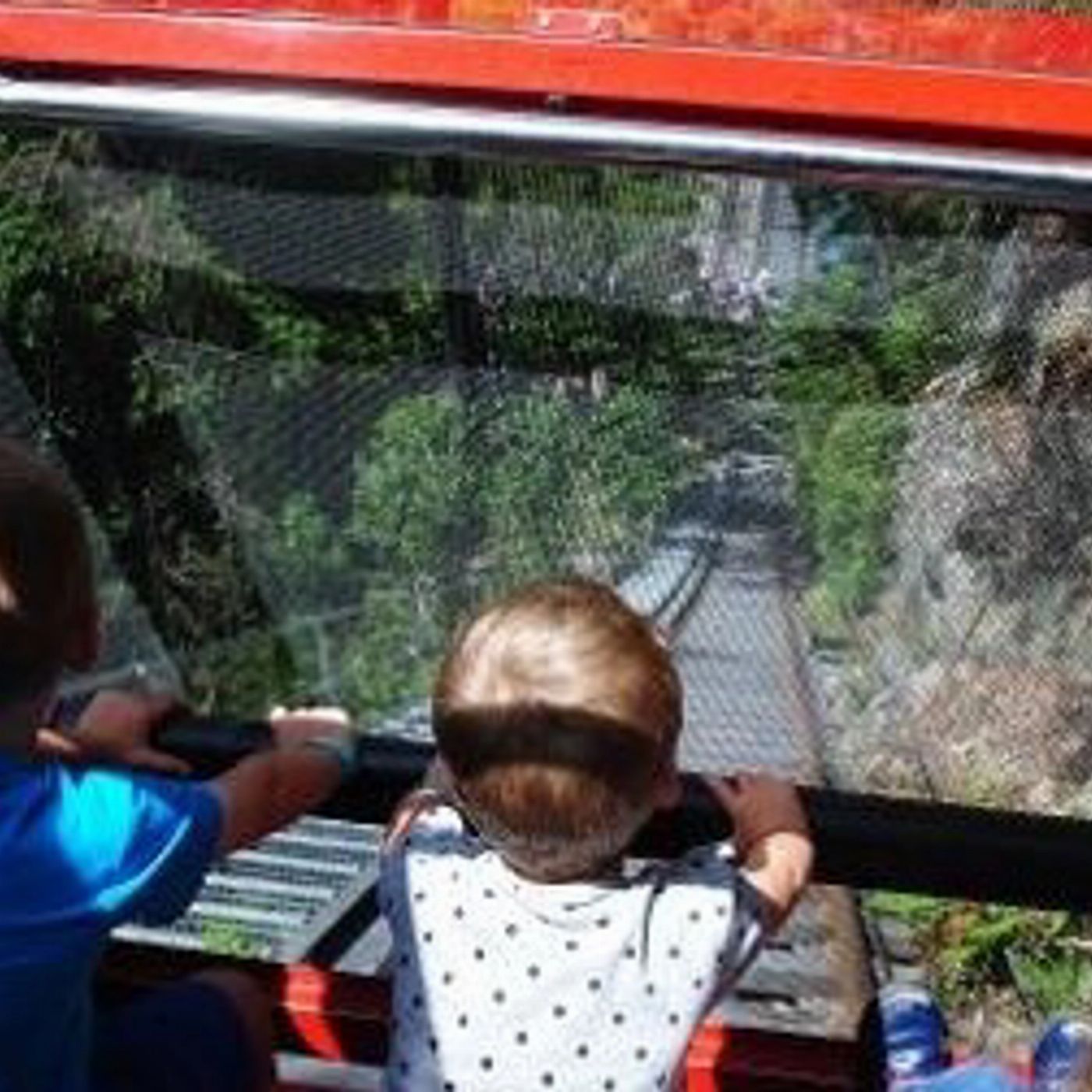 Blue Mountains Explorer Bus Lyrebird Pass - Hop On Hop Off + Scenic World