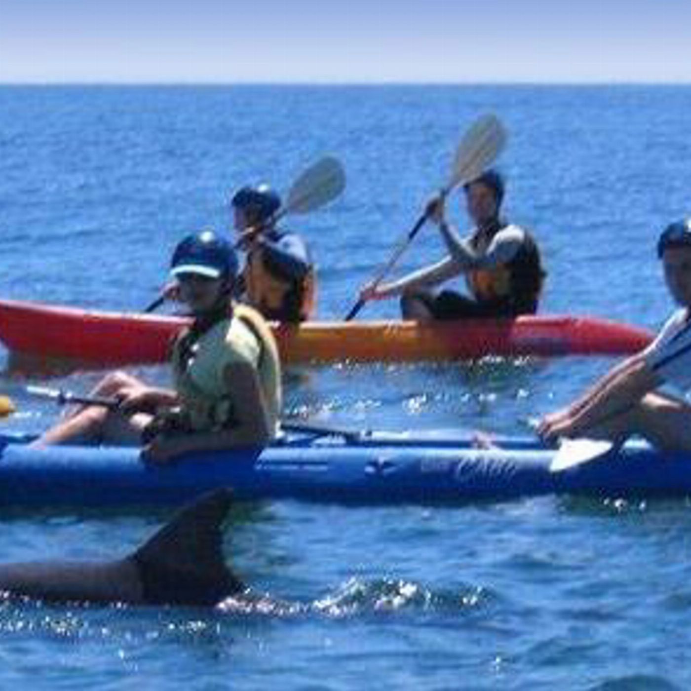 Cape Byron Kayaks Kayak with the Dolphins Tour