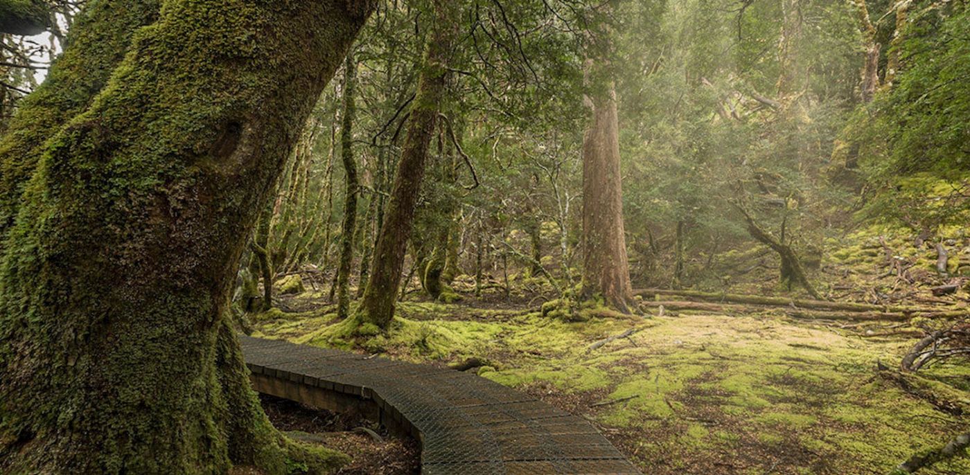Tassie Tours Cradle Mountain Tour ex Cruise Ship