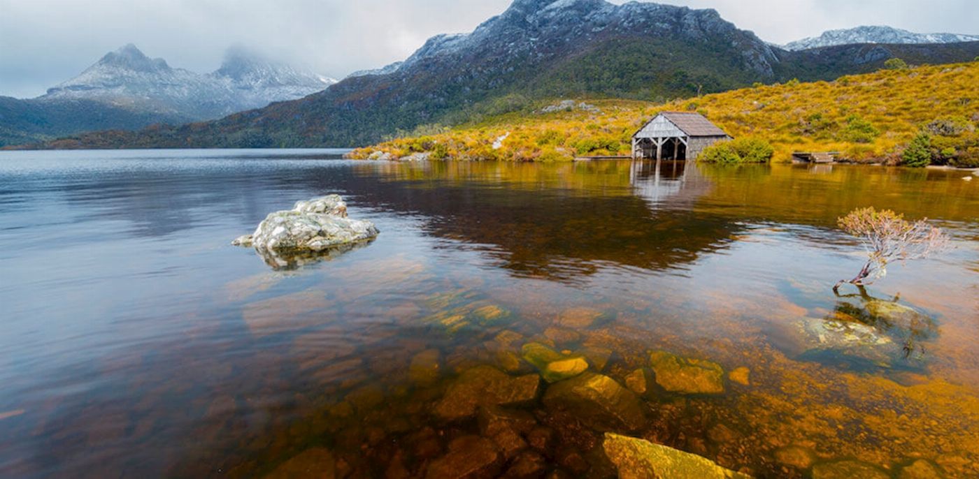 Tassie Tours Cradle Mountain Tour ex Cruise Ship