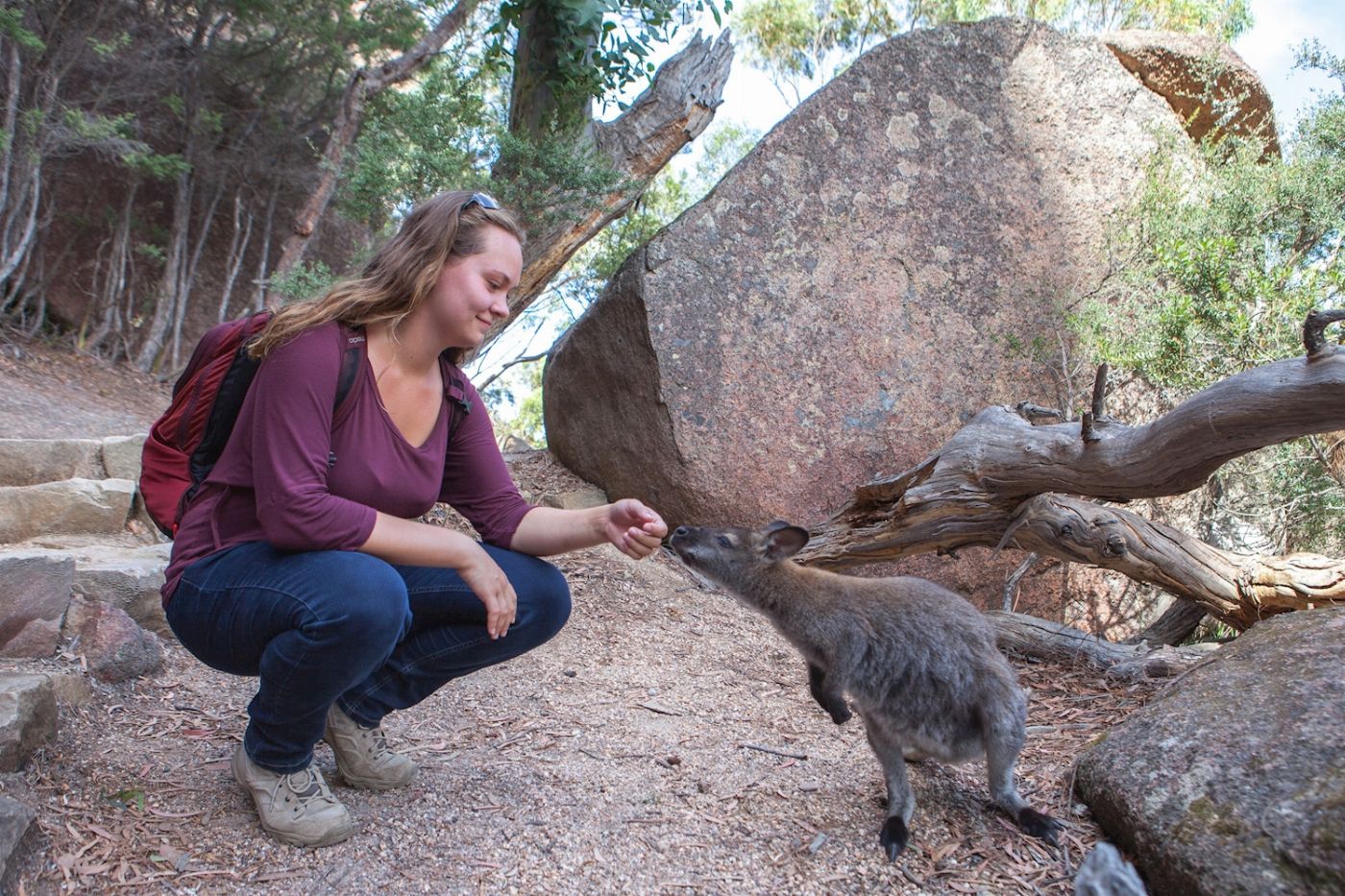 Tours Tasmania Wineglass Bay Explorer Launceston Active Day Tour