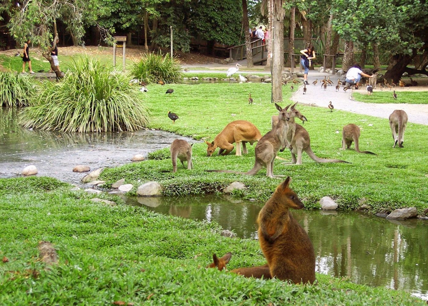 Wildlife Habitat Admission
