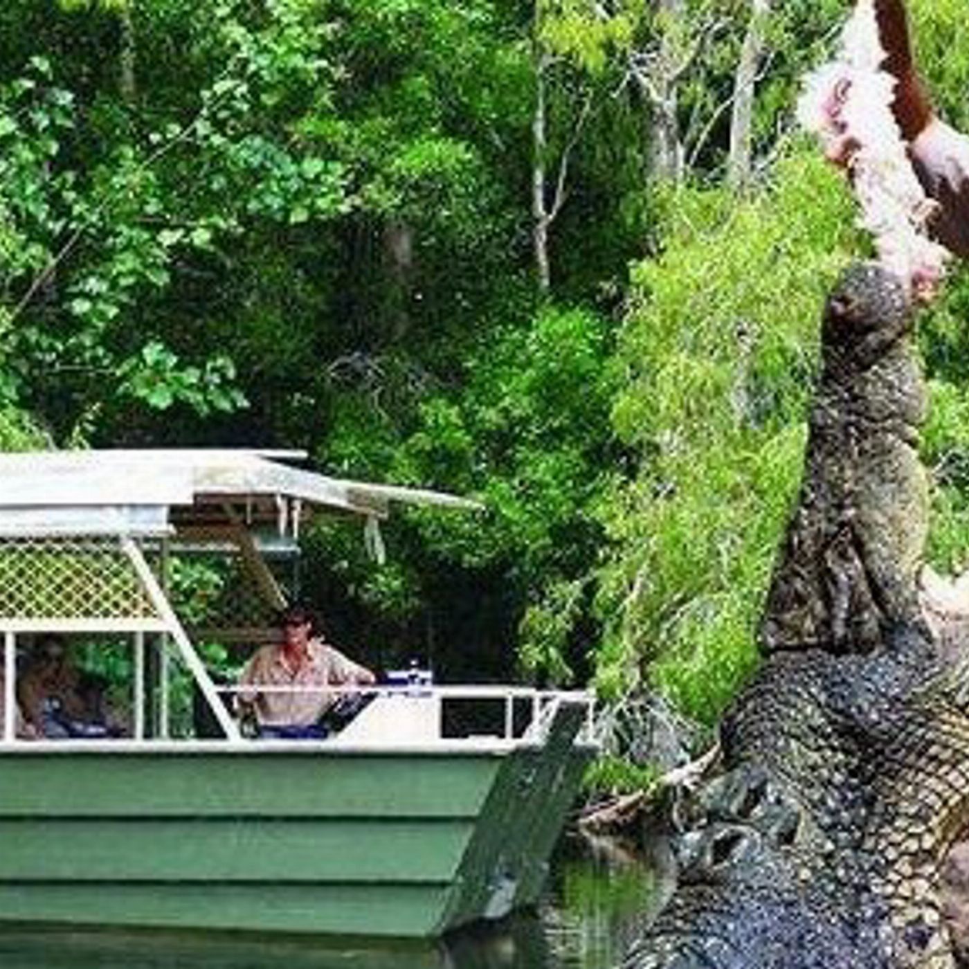 Kuranda & Outback Tours Kuranda & Hartley's Crocodile Adventures Package