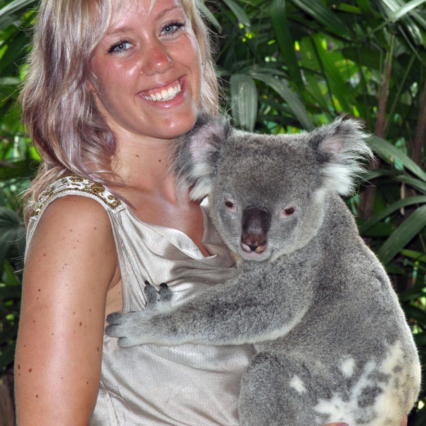 Kuranda & Outback Tours Kuranda & Hartley's Crocodile Adventures Package