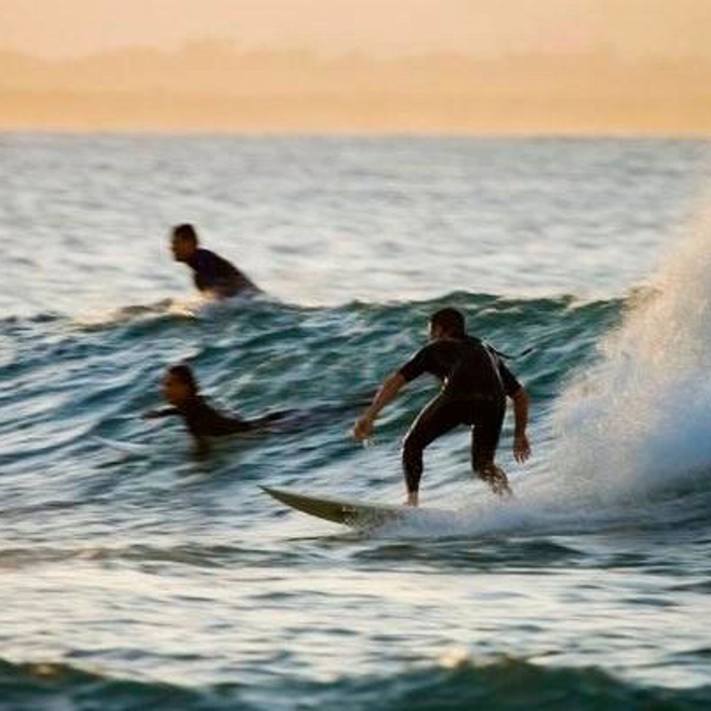 Blackdog Surfing Experience The Thrill