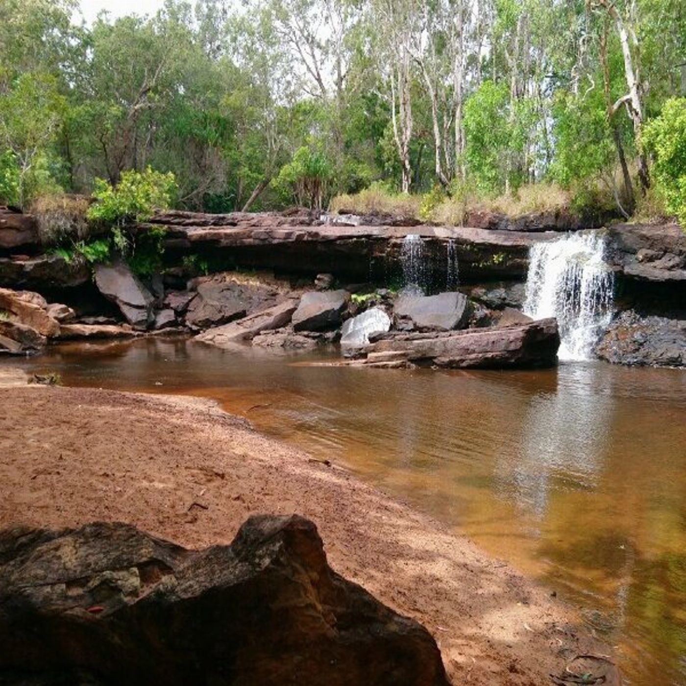 Discovery Tours Cairns to Cape York 9 Day Tour - Fly / Drive (Twin Share)