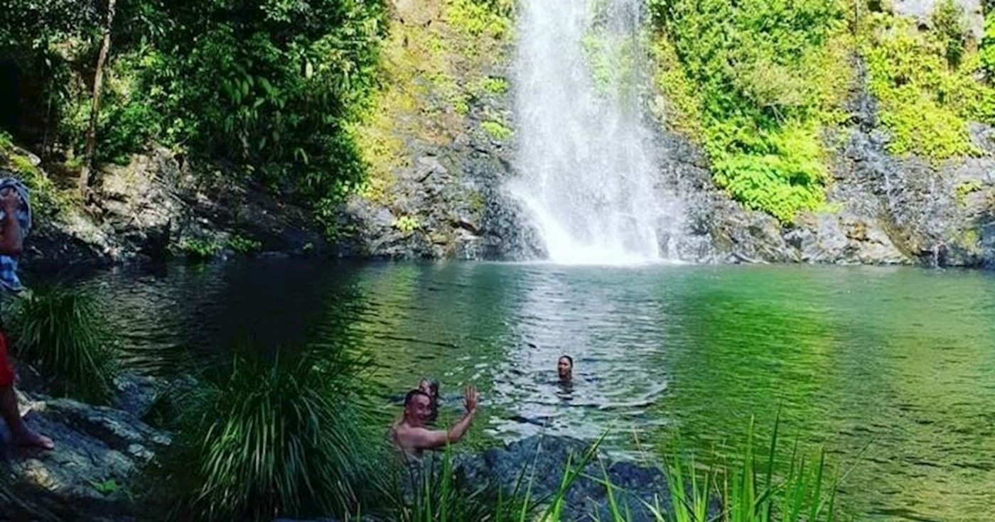 Daintree Discovery Tours Daintree River and Cassowary Falls - Half Day Tour (Morning)