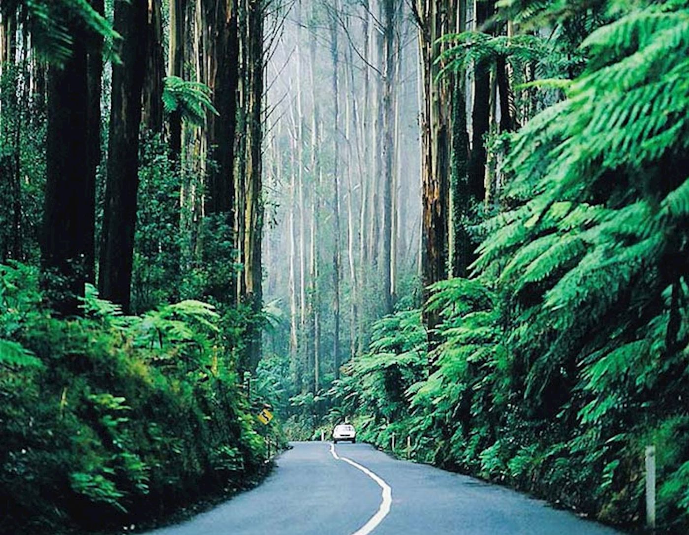 Around And About Dandenong Ranges
