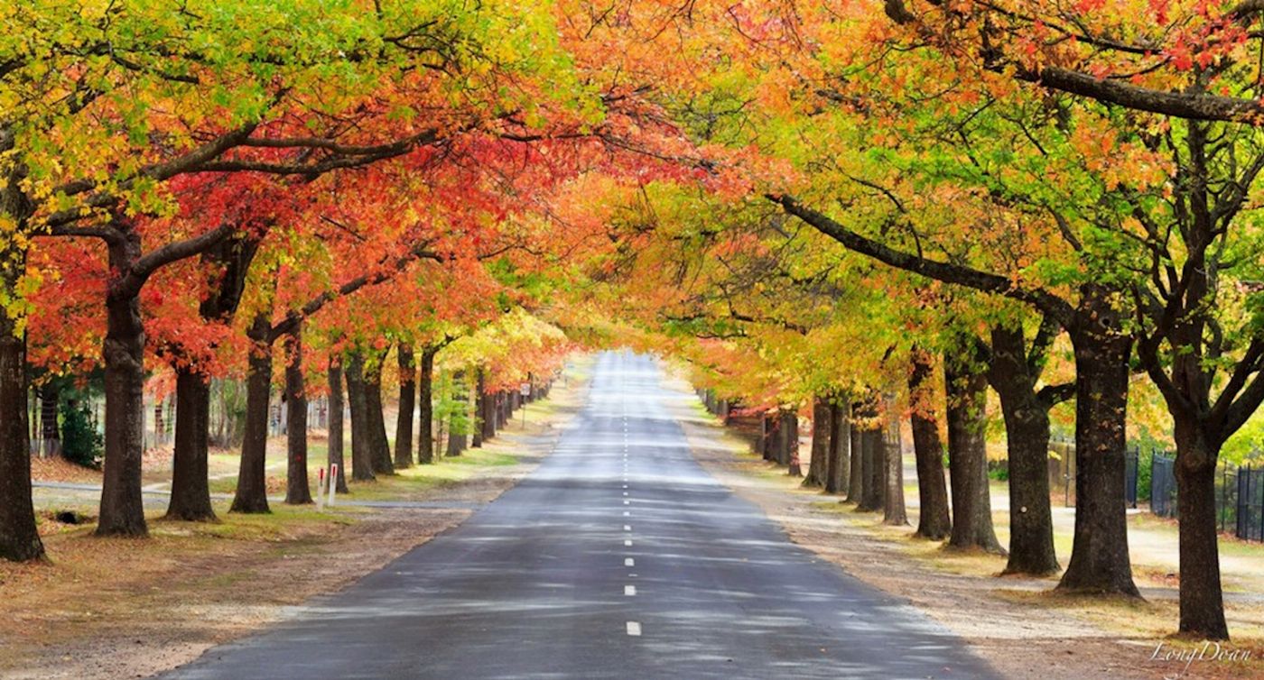 Around And About Mt Macedon Ranges & Daylesford