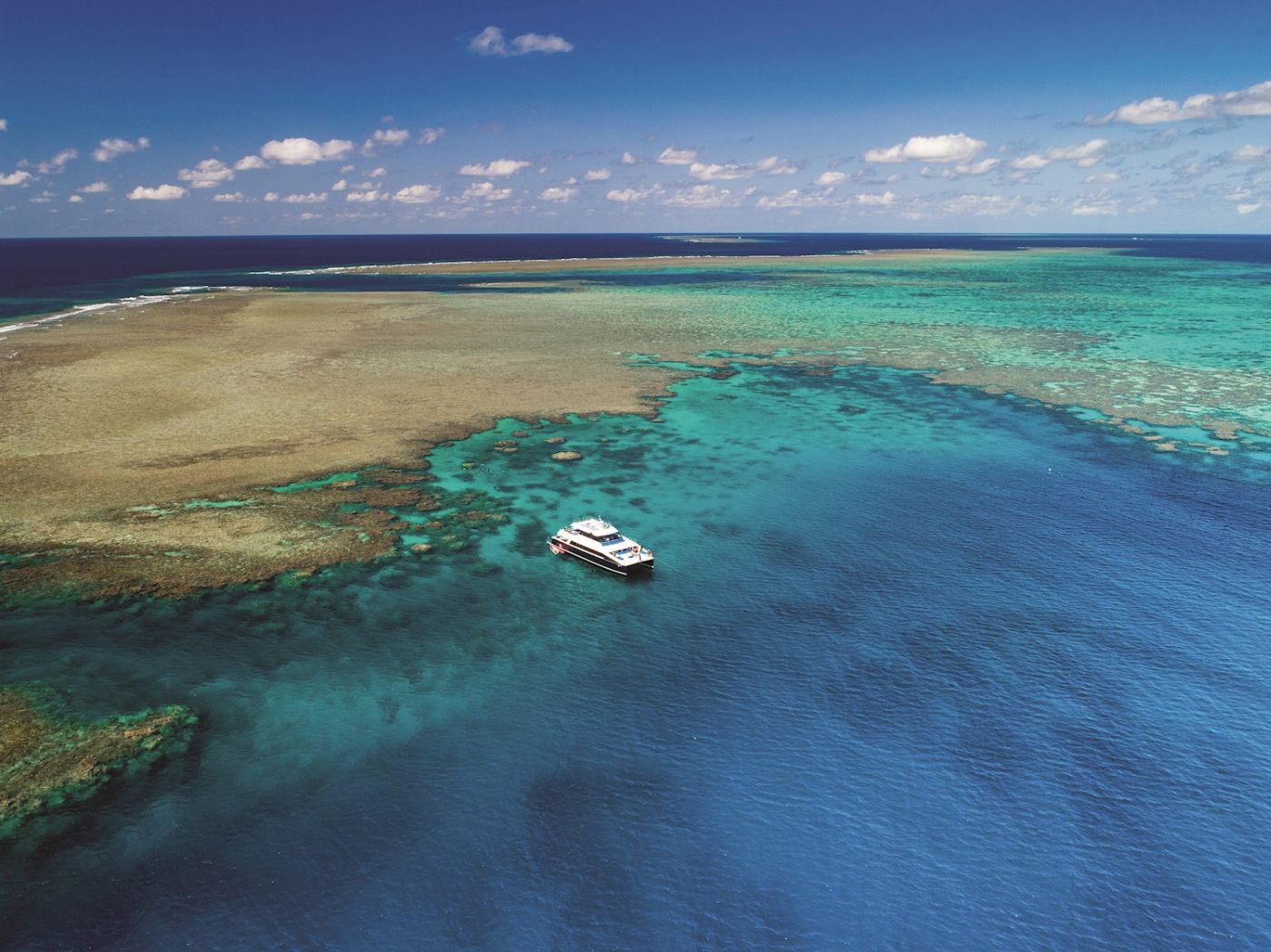 Calypso Snorkel & Dive Calypso Outer Reef Cruise - Self Drive
