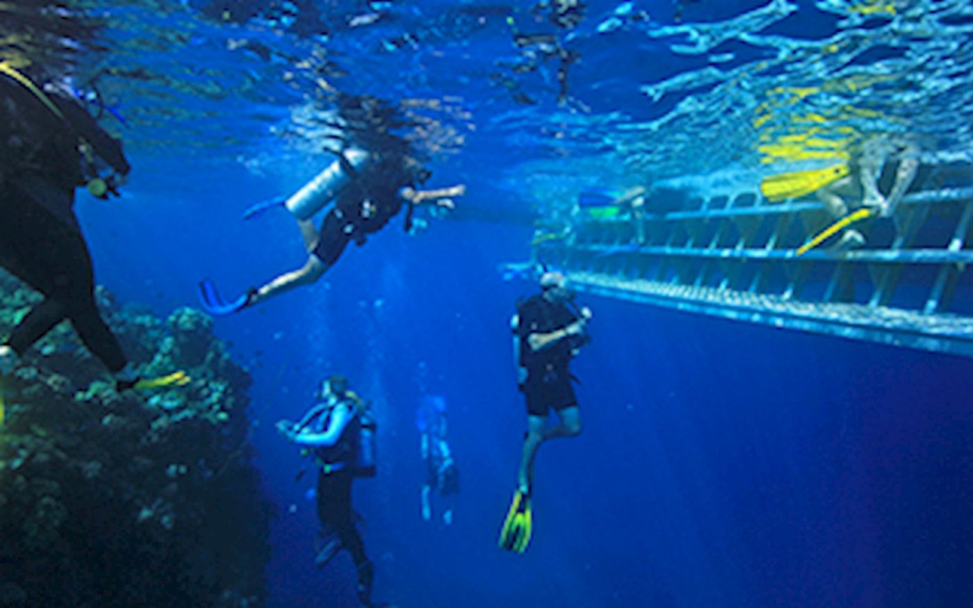 Calypso Snorkel & Dive Calypso Outer Reef Cruise - Self Drive