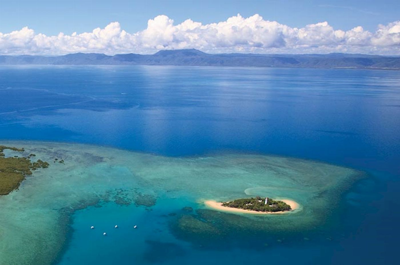 Calypso Snorkel & Dive Calypso Half Day Low Isles - Morning