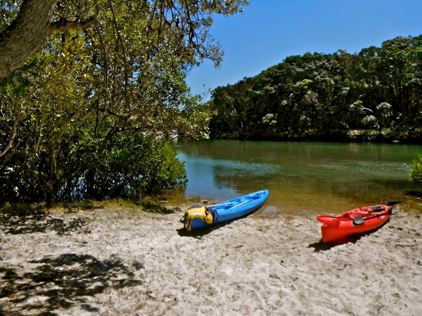 Go Sea Kayak Brunswick River Nature Kayak Tour