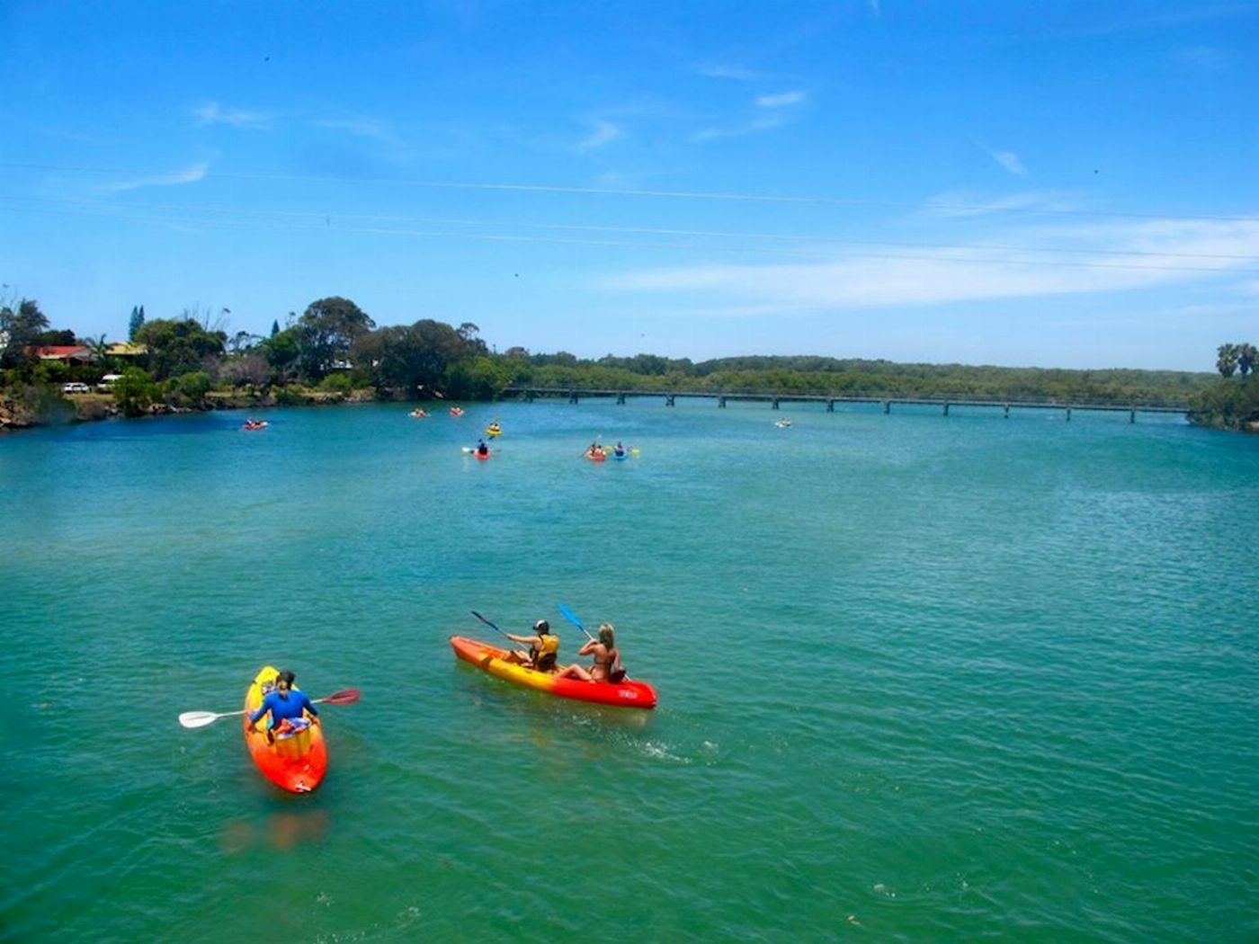 Go Sea Kayak Brunswick River Nature Kayak Tour