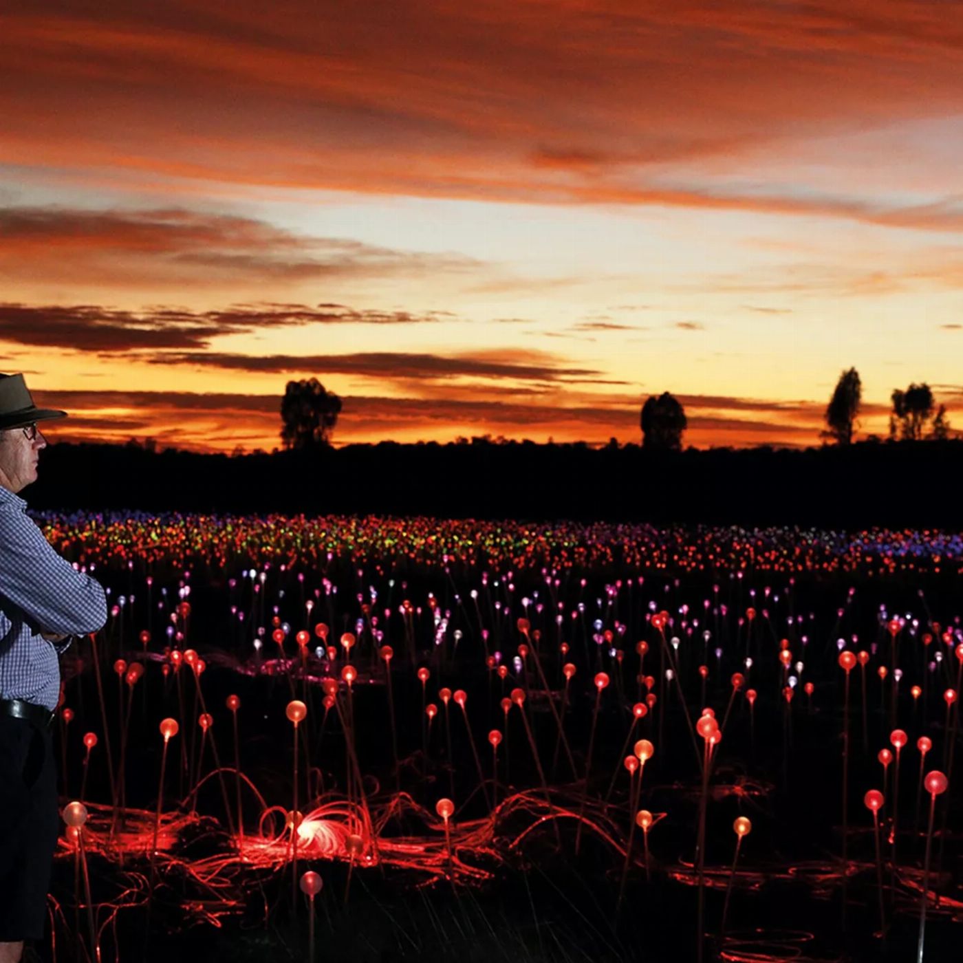 AAT Kings Uluru Sunrise and Field of Light