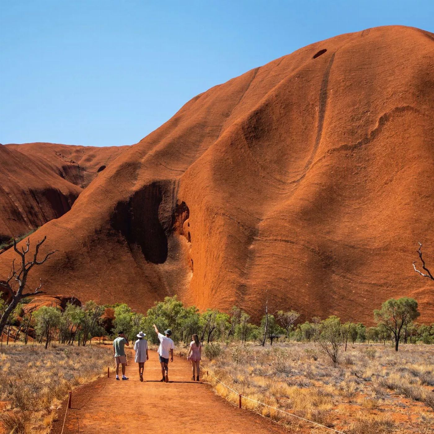 AAT Kings Uluru Morning Guided Base Walk