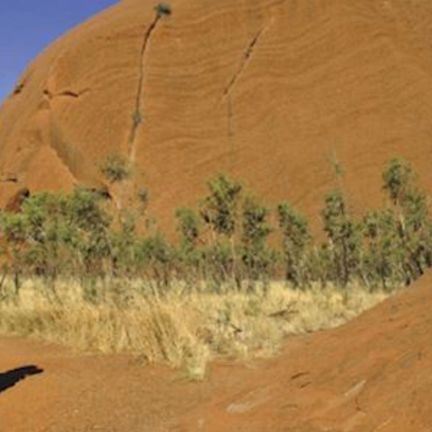 AAT Kings Uluru Morning Guided Base Walk