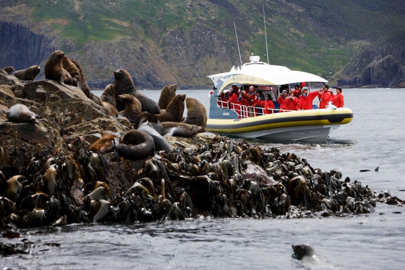 Pennicott Wilderness Journeys Bruny Island Cruise with Kettering Bus Pickup