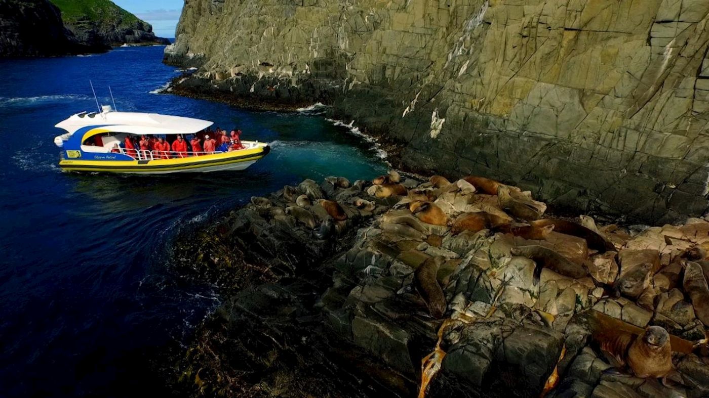Pennicott Wilderness Journeys Bruny Island Cruise with Kettering Bus Pickup