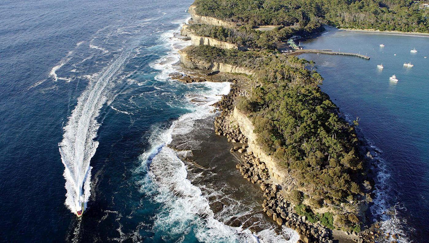 Pennicott Wilderness Journeys Tasman Island Cruise - Full Day + Devils Park
