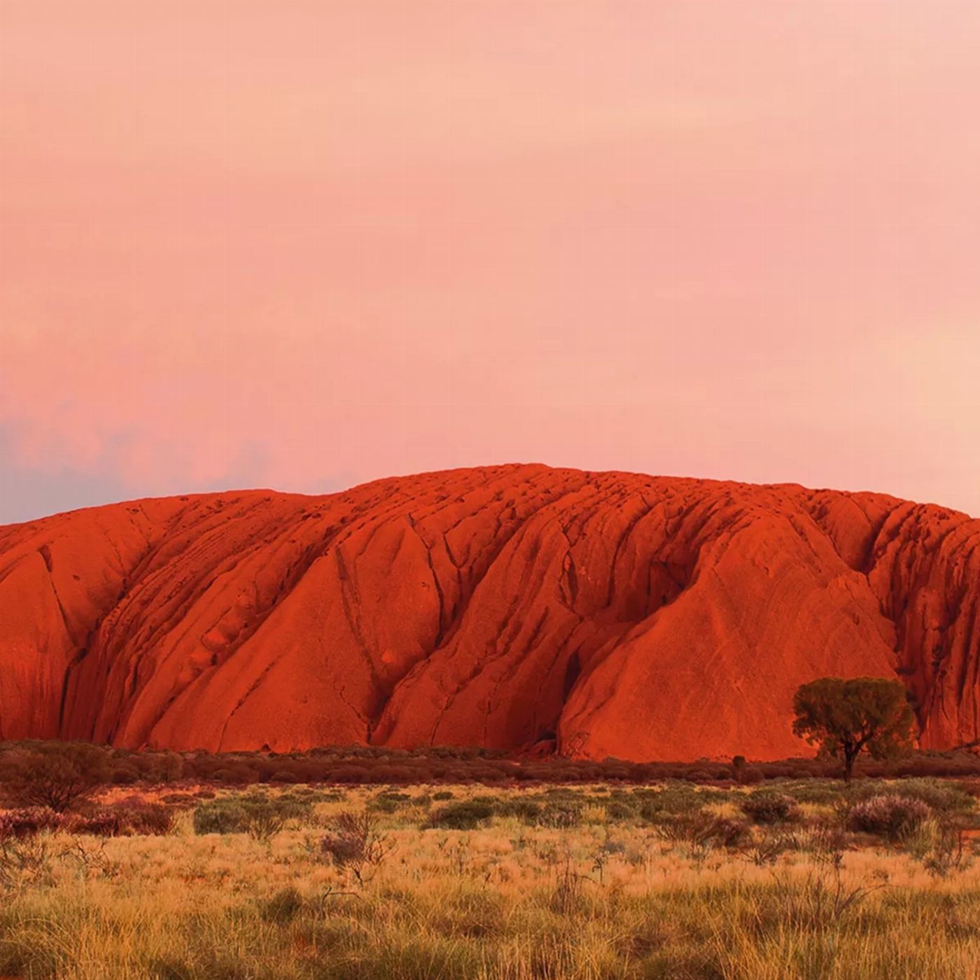 AAT Kings Uluru Sunset & BBQ Dinner