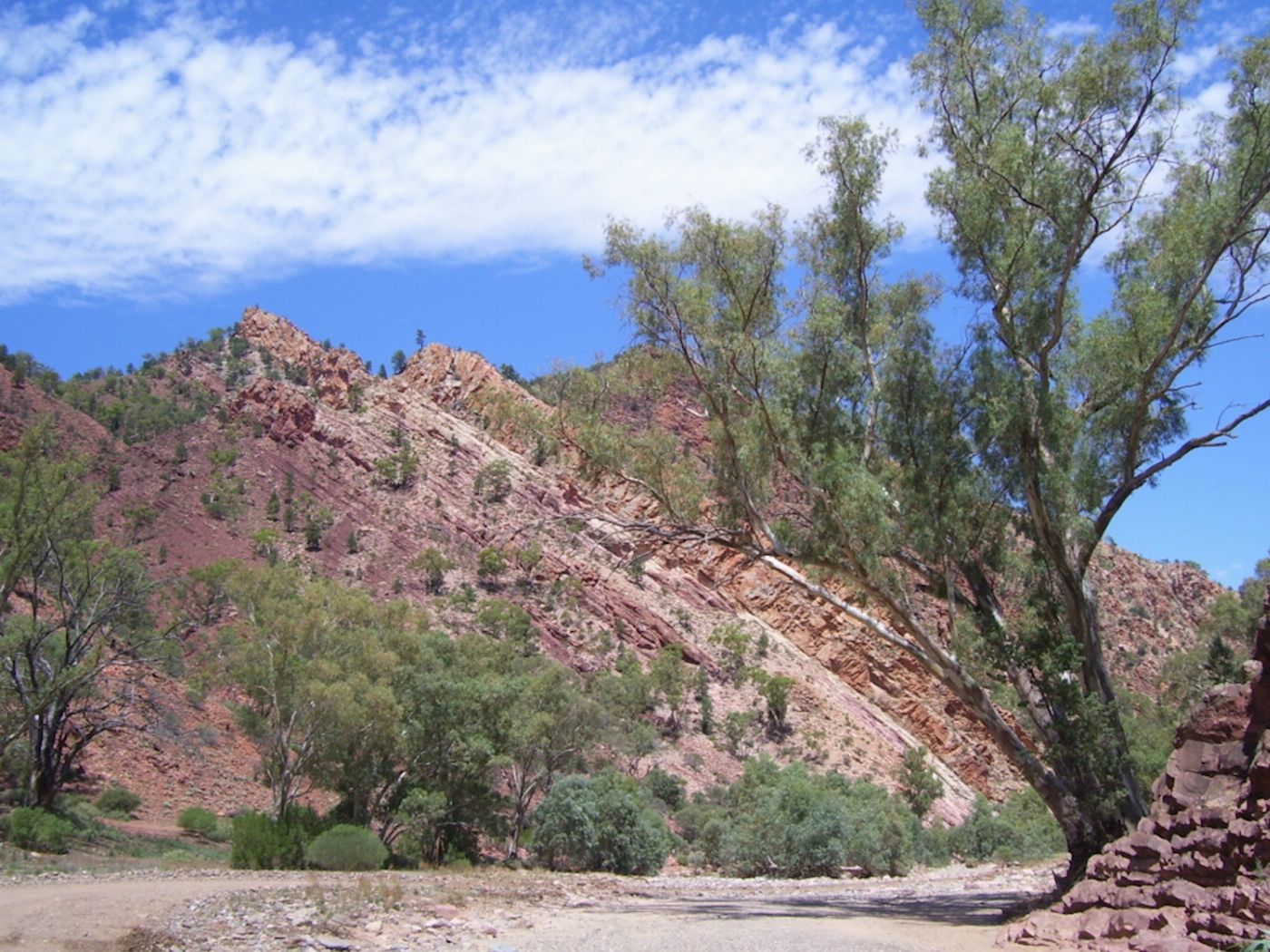 Rawnsley Park Station Bunyeroo & Brachina Gorges 4WD Tour