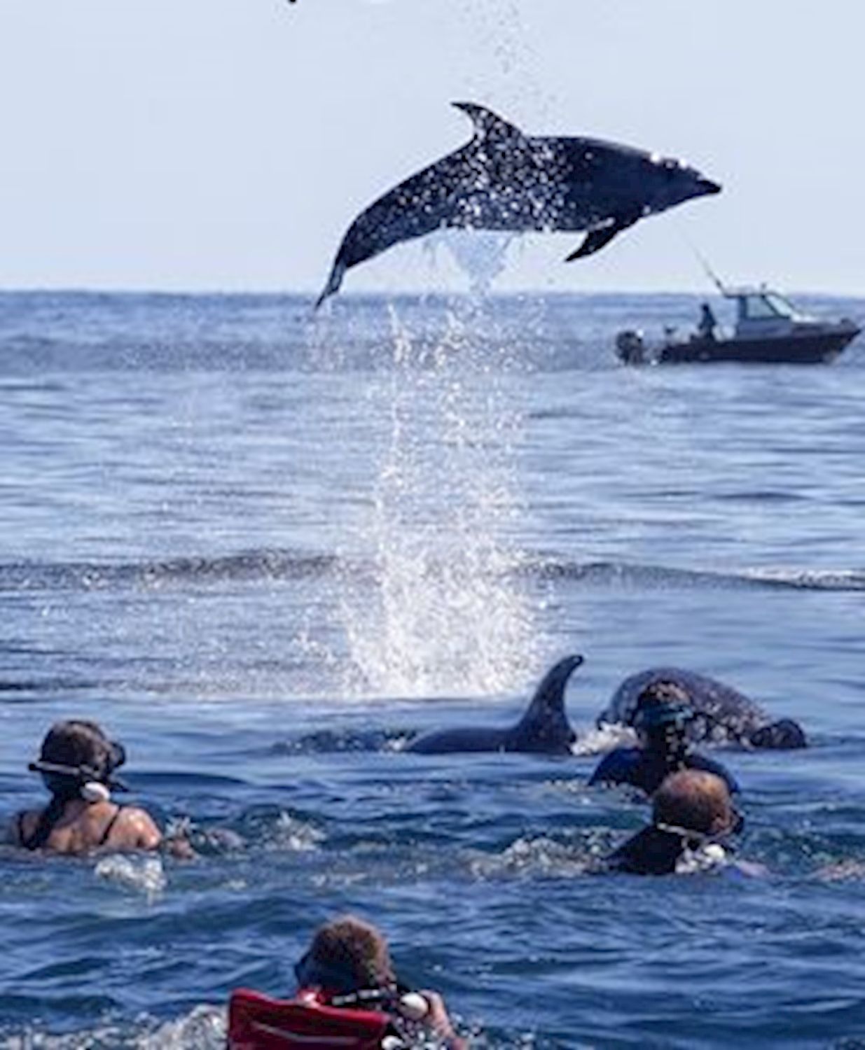 Blue Dolphin Marine Tours Fraser Island Eco-Sailing Adventure