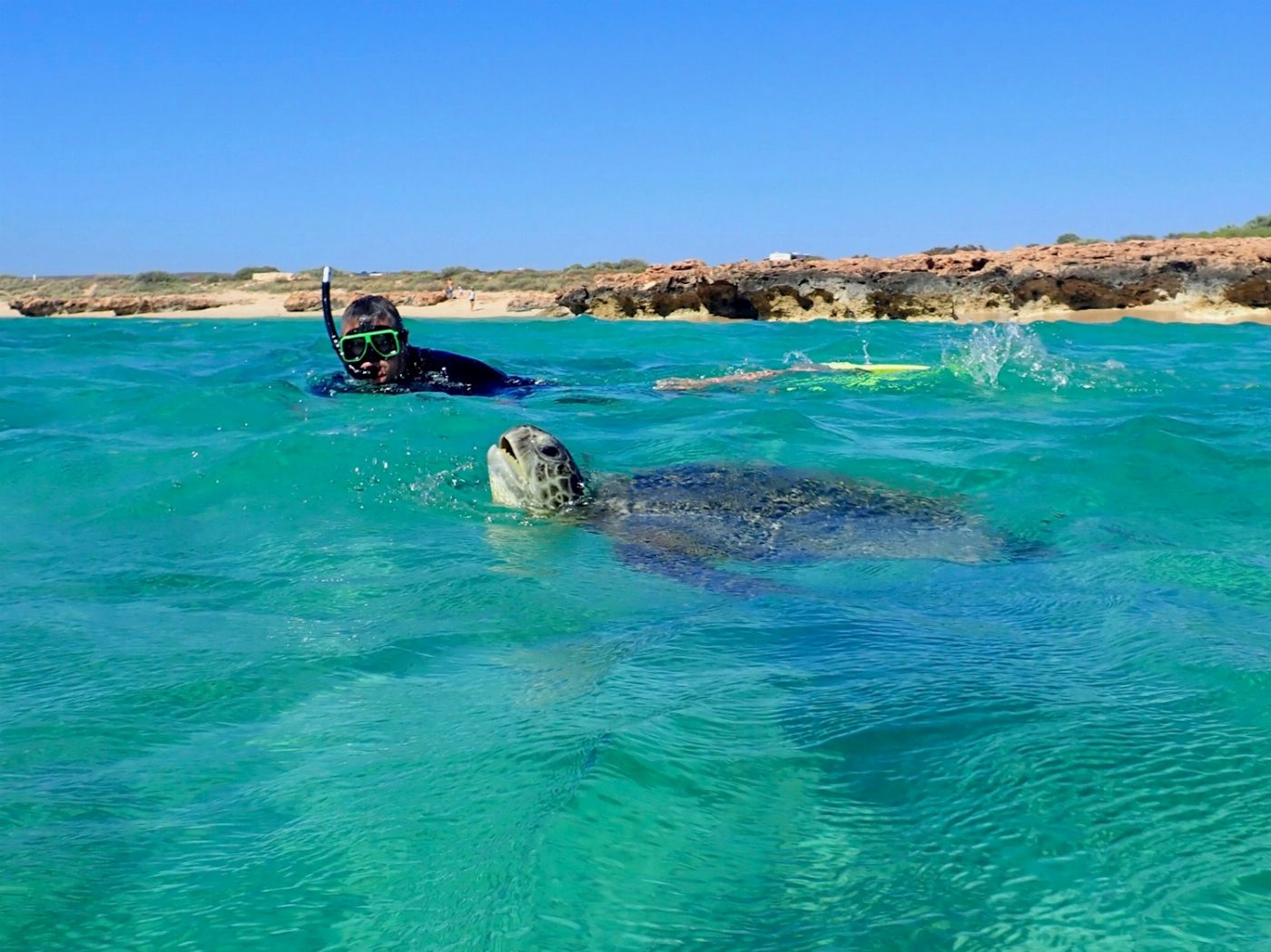 Exmouth Adventure Co Turtle Tour - Half Day Sea Kayak & Snorkel Tour