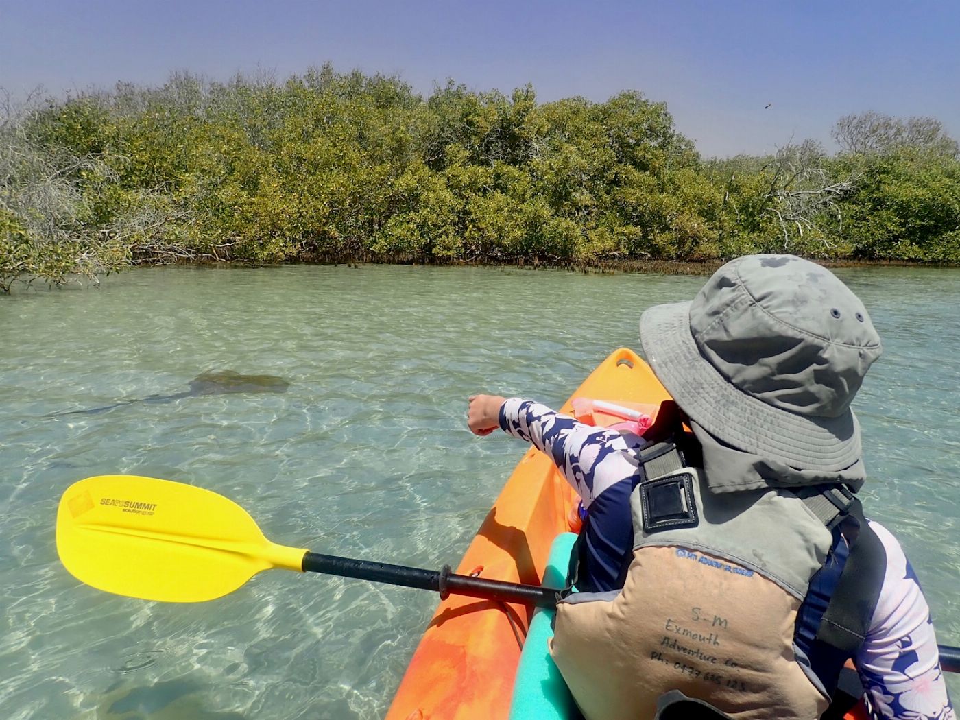 Exmouth Adventure Co Turtle Tour - Half Day Sea Kayak & Snorkel Tour