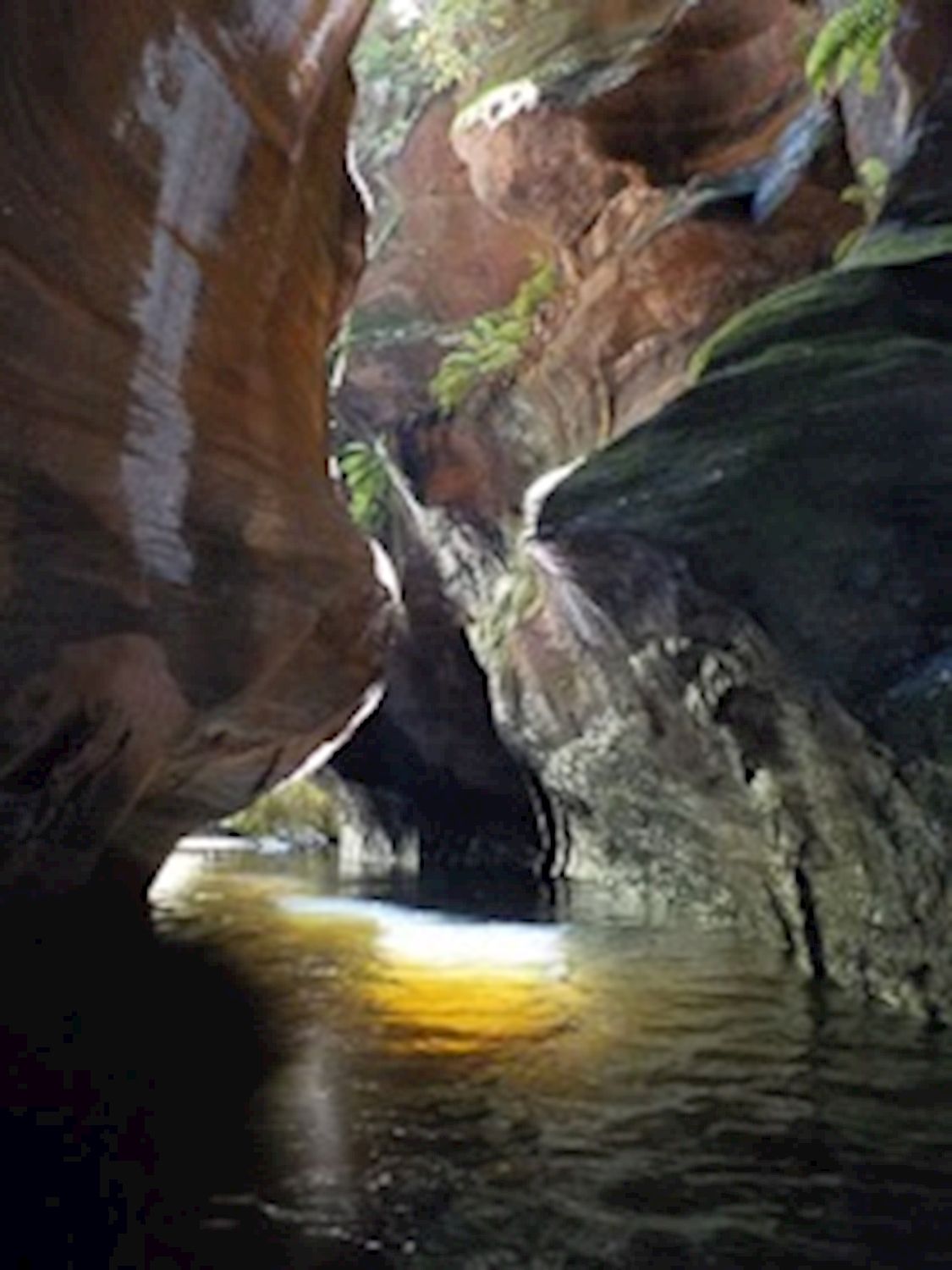 High and Wild Mountain Adventures Serendipity Canyon