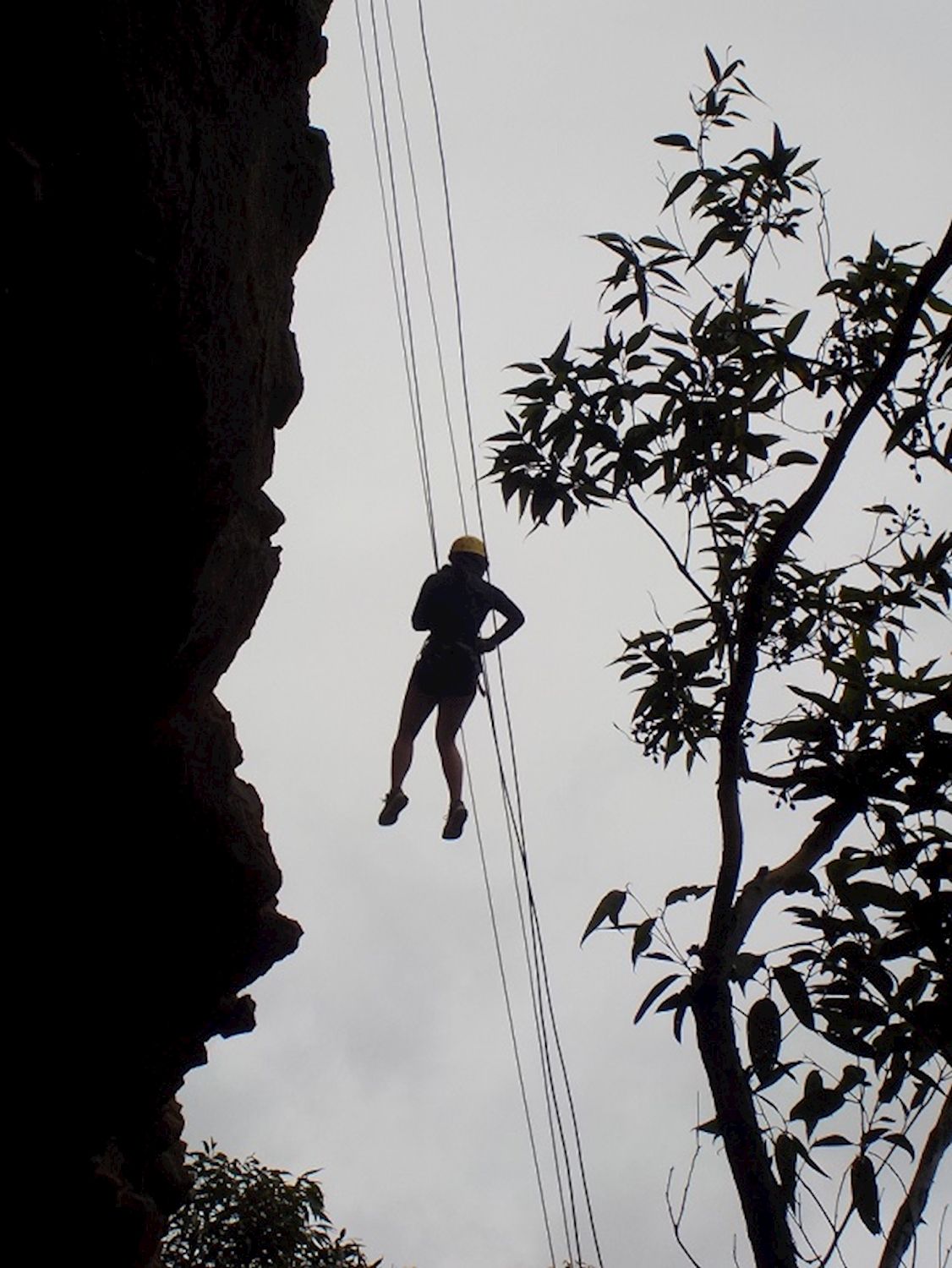 High and Wild Mountain Adventures Abseiling Adventure (Half Day)
