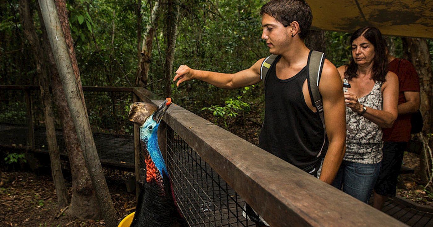 Hartley's Crocodile Adventures Zootastic with Return Transfers ex Port Douglas