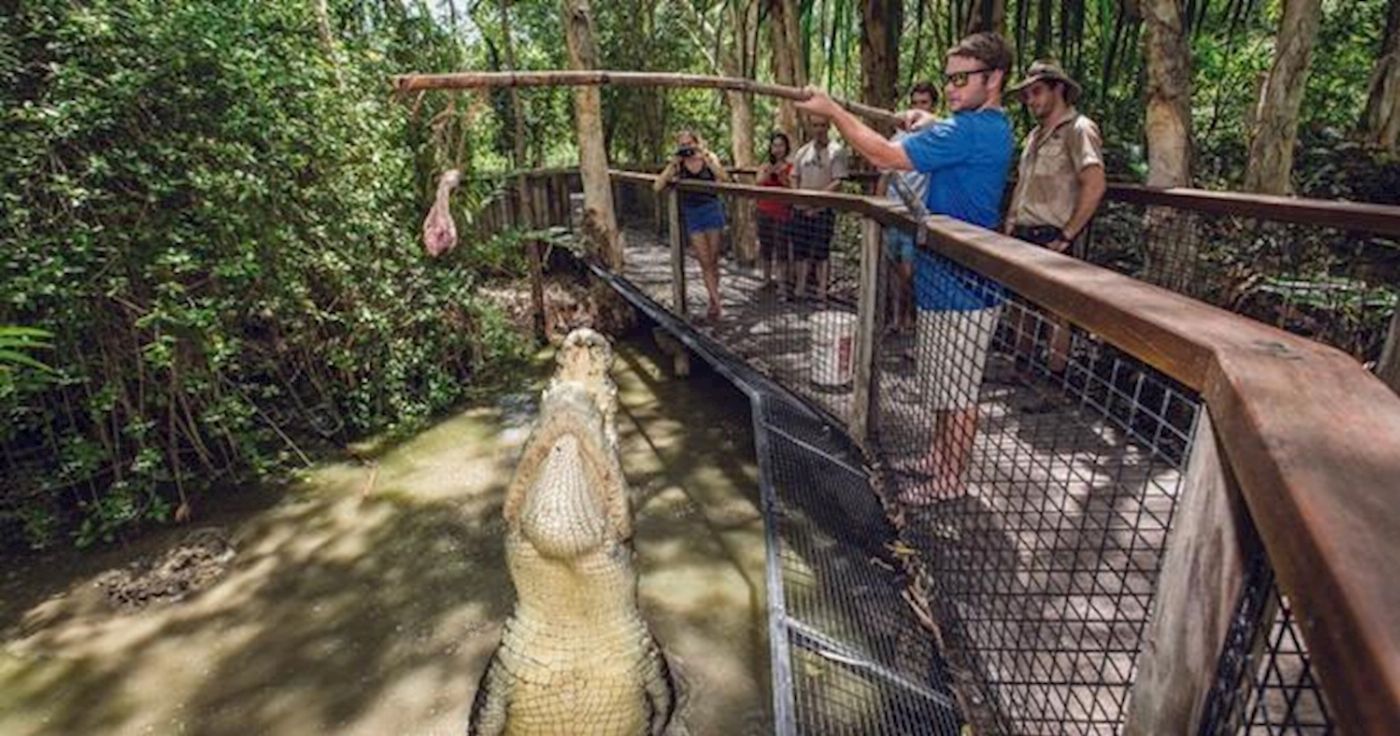 Hartley's Crocodile Adventures Entry + Big Croc Feed with Return Transfers ex Port Douglas