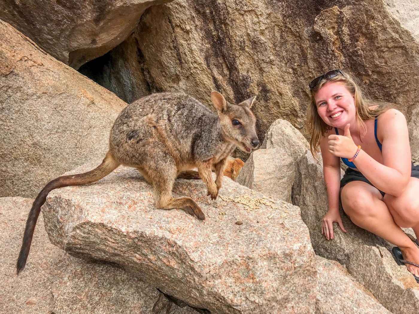Ultimate East Coast Explorer + Sydney (6 Weeks)