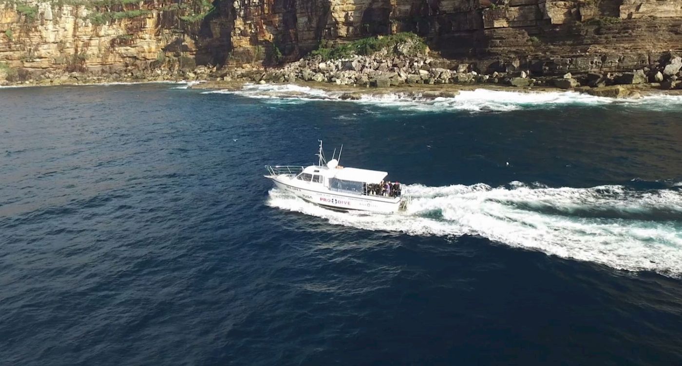 Pro Dive Sydney Double Boat Dive (Full Equipment Hire)