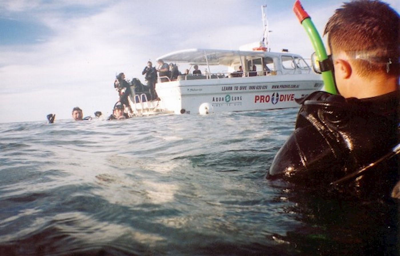 Pro Dive Sydney Double Boat Dive (Full Equipment Hire)