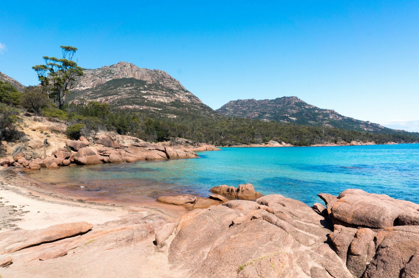 Wineglass Bay Discovery Tours Wineglass Bay - Freycinet NP & Tasmania East Coast via Richmond village Day Tour