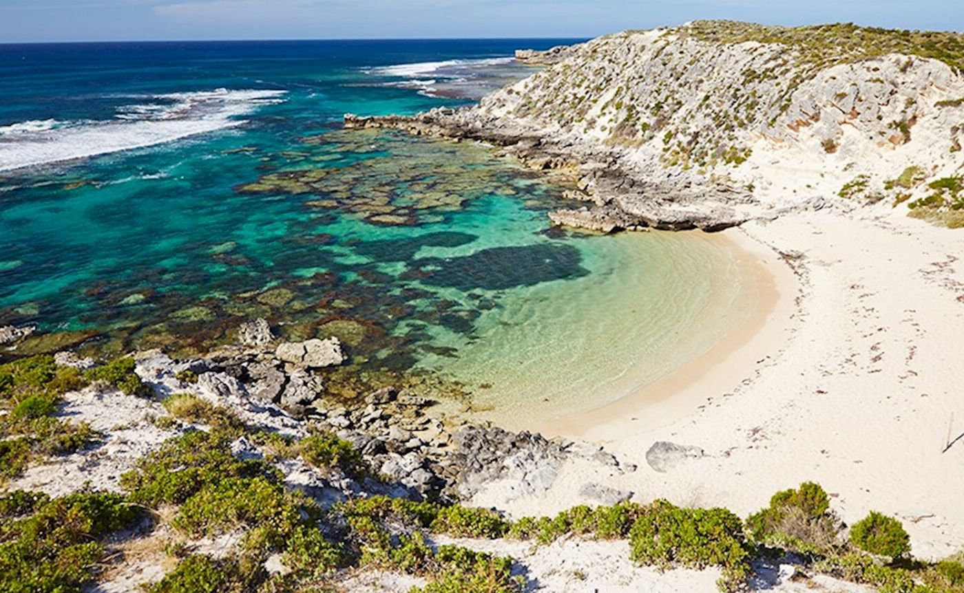 Rottnest Express Return - B Shed to Rottnest Island