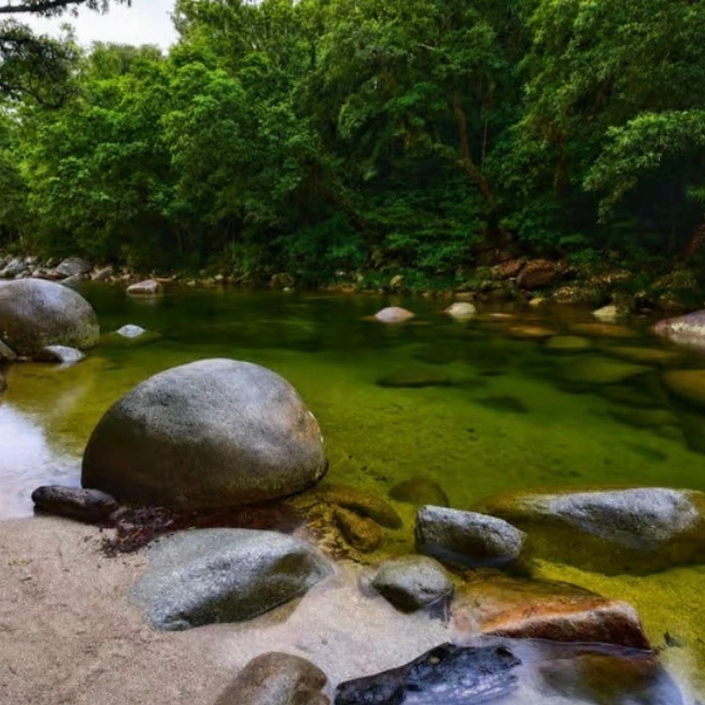 Cape Trib Connections Daintree, Cape Tribulation Beach and Mossman Gorge Day Tour
