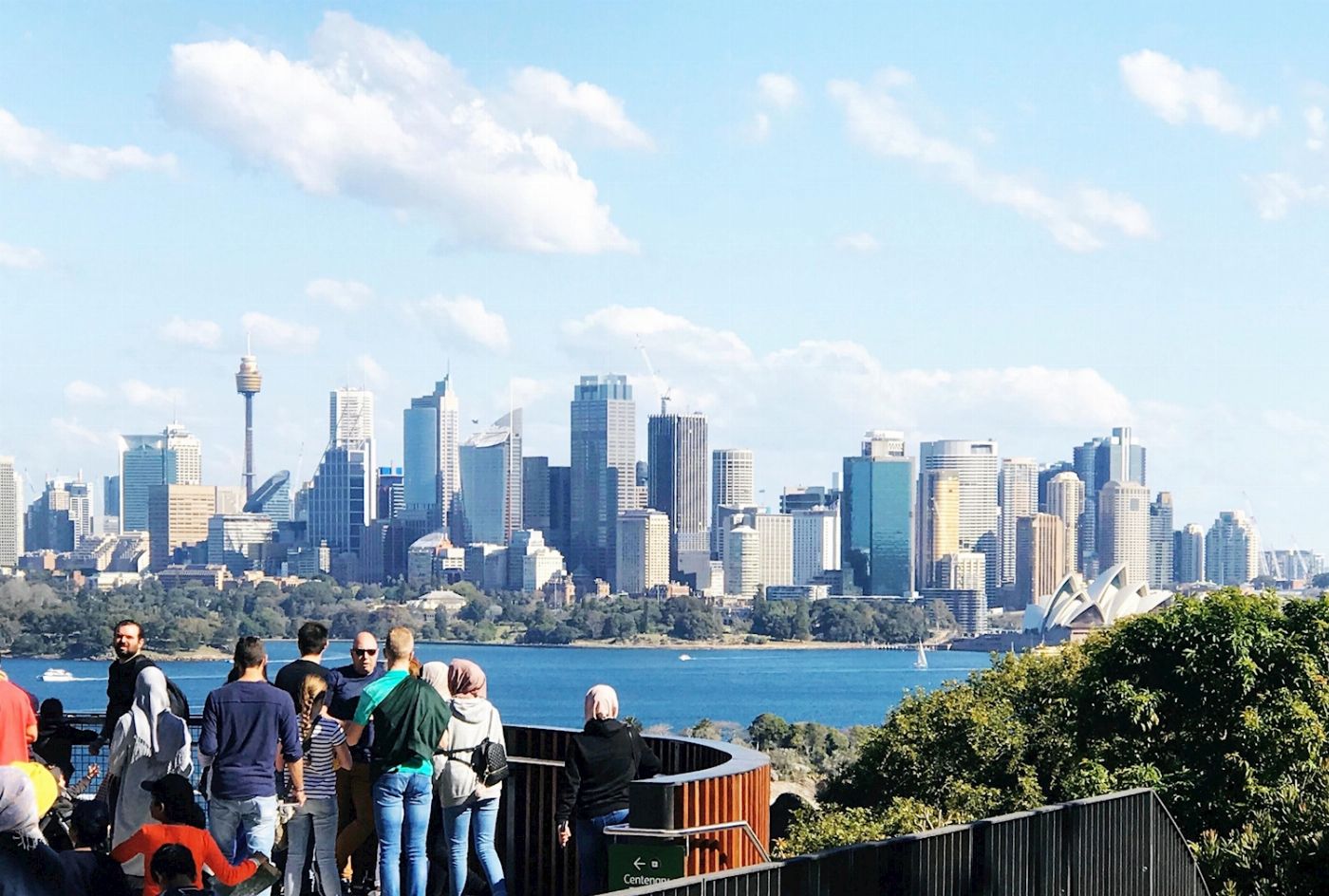 Captain Cook Cruises Sydney: Taronga Zoo Entry & Return Ferry from Circular Quay