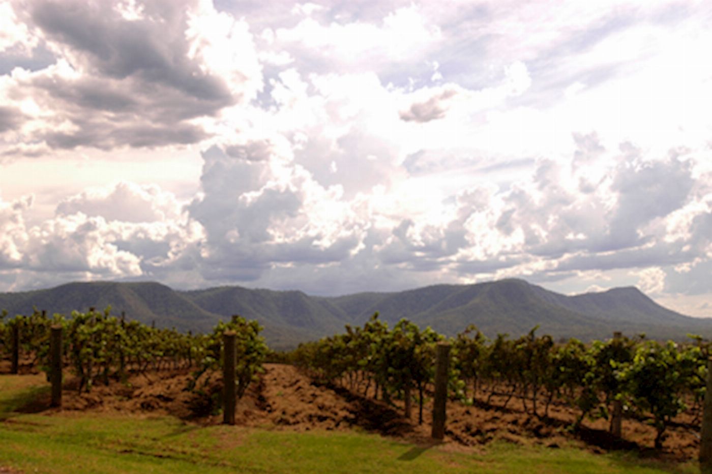 Boutique Tours Boutique Hunter Valley Wine Tasting Tour