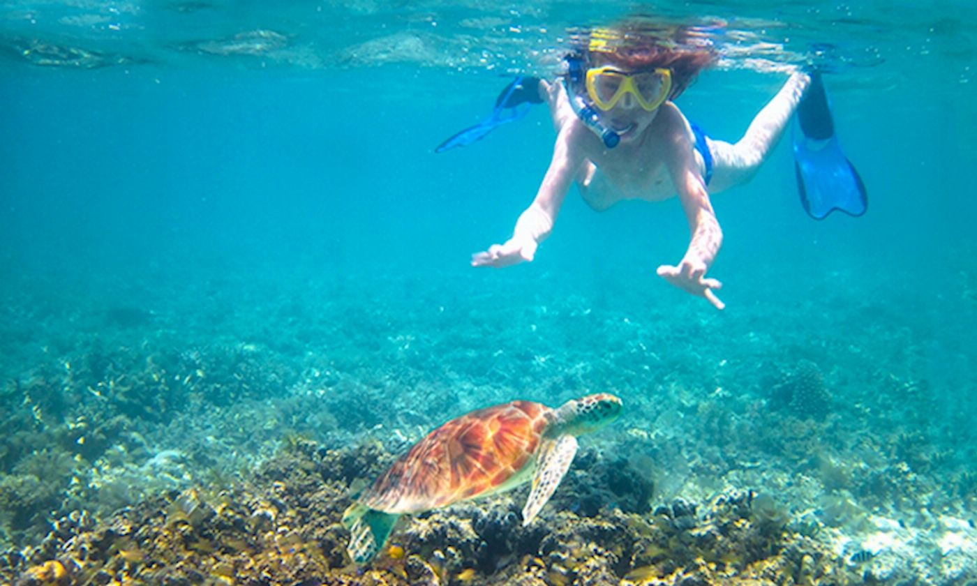 Bushwacker Eco Tours Moreton Island 2-Day 4WD Tour (Glamping)