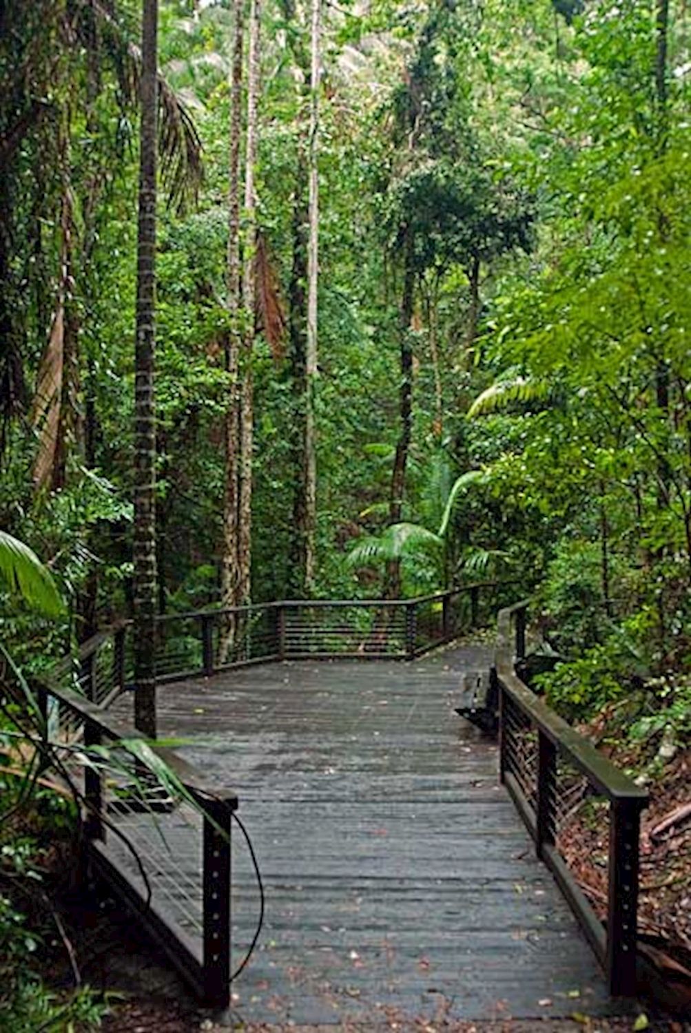 Bushwacker Eco Tours Fraser Island 4WD Exclusive Tour